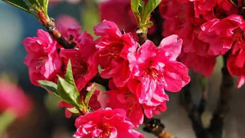 Tết Dương lịch 2026, người lao động được nghỉ mấy ngày?