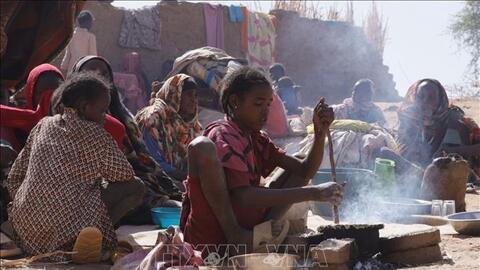 Công bố báo cáo chấn động về tình trạng bạo lực ở Sudan