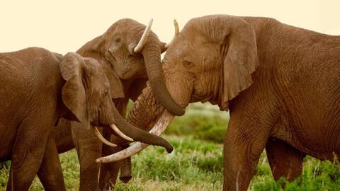 Top 10 nước châu Phi có thể trở thành điểm đến du lịch hàng đầu thế giới