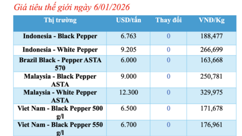 Giá tiêu hôm nay 6/1/2026: Chững lại chờ tín hiệu mới