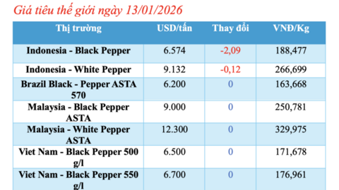 Giá tiêu hôm nay 13/1/2026: Thị trường đứng yên