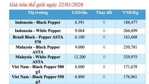 Giá tiêu hôm nay 22/1/2026: Duy trì ổn định