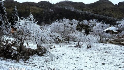 Thời tiết hôm nay (23-1): Hà Nội trời rét đậm, rét hại, Tây Bắc có nơi dưới 6 độ C