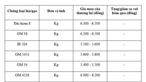 Giá lúa gạo hôm nay ngày 26/1/2026: Gạo xuất khẩu đảo chiều giảm nhẹ