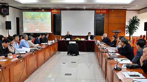 Gỡ 'nút thắt' cho ngành sắn, hướng tới mục tiêu xuất khẩu 2,5 tỷ USD