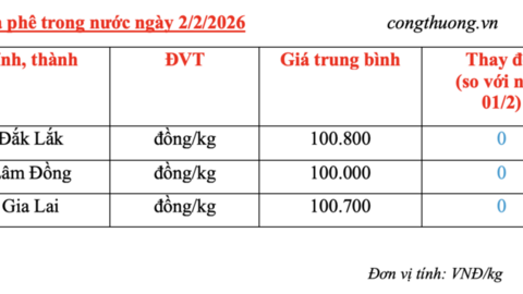 Giá cà phê hôm nay 2/2/2026: Đi ngang