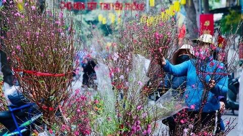 Tết Bính Ngọ: Bắc Bộ, Trung Bộ nhiều khả năng sẽ ấm, Nam Bộ nắng