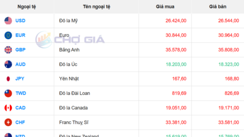 Tỷ giá USD hôm nay 4/2/2026: Trong nước ổn định