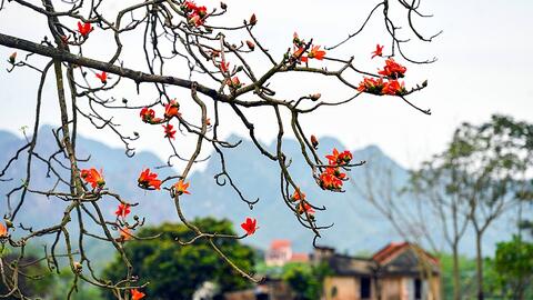 Thời tiết hôm nay (19-3): Miền Bắc trời nắng ấm, miền Nam nắng nóng