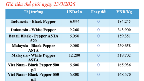 Giá tiêu hôm nay 23/3/2026: Cao nhất 136.000 đồng/kg
