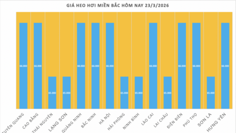 Giá heo hơi hôm nay 23/3/2026: Biến động trái chiều