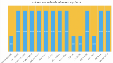 Giá heo hơi hôm nay 30/3/2026: Tiếp tục giảm nhiều nơi