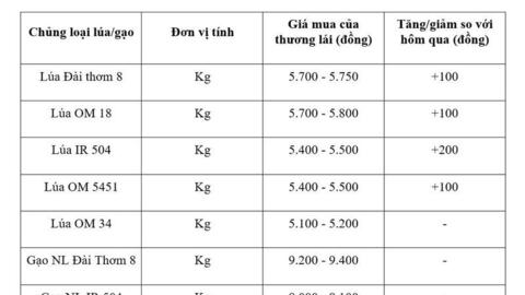 Giá lúa gạo hôm nay ngày 2/4: Lúa tươi đồng loạt tăng