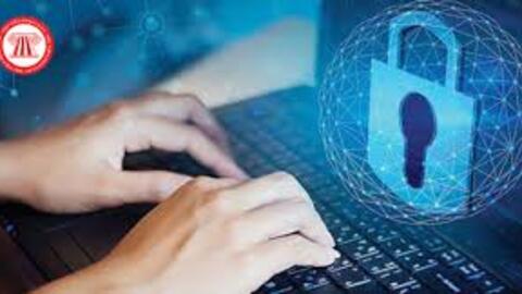 Việc cung cấp dữ liệu cá nhân được pháp luật quy định như thế nào?