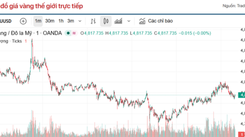 Giá vàng hôm nay (16/4): Hạ nhiệt