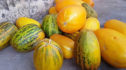 Giá nông sản hôm nay 22/4/2026: Tăng, giảm trái chiều