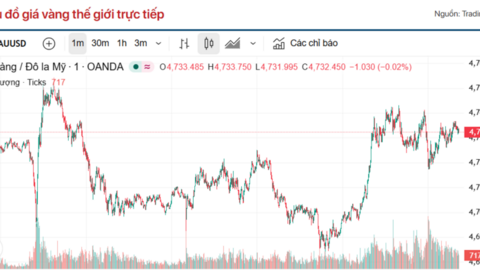 Giá vàng hôm nay (24/4): Chưa ngừng đà giảm