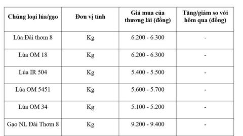 Giá lúa gạo hôm nay ngày 11/5: Gạo xuất khẩu nguyên liệu đảo chiều giảm