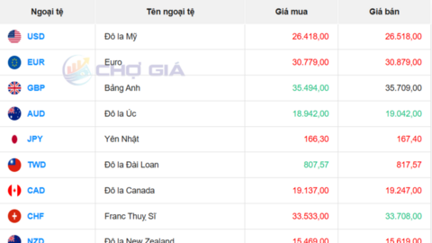 Tỷ giá USD hôm nay 14/5/2026: Đồng bạc xanh bật tăng trở lại