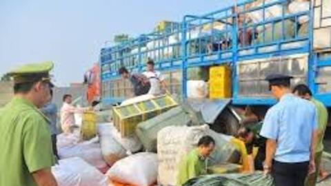 Vận chuyển trái phép hàng hóa, tiền tệ qua biên giới bị xử phạt thế nào?