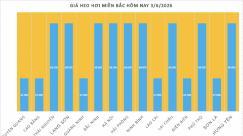 Giá heo hơi hôm nay 3/6/2026: Đi ngang trên cả nước