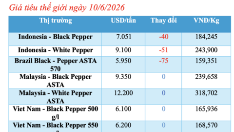 Giá tiêu hôm nay 10/6/2026: Bật tăng 1.000 đồng/kg