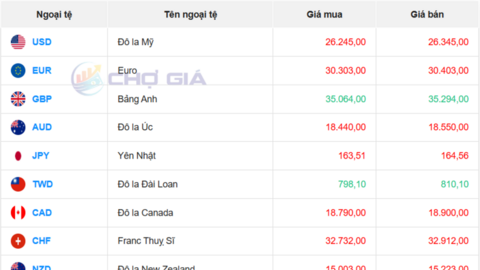 Tỷ giá USD 11/6/2026: USD tiếp tục biến động trái chiều