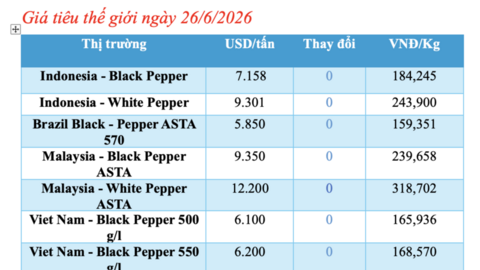 Giá tiêu hôm nay 26/6/2026: Giữ đà ổn định