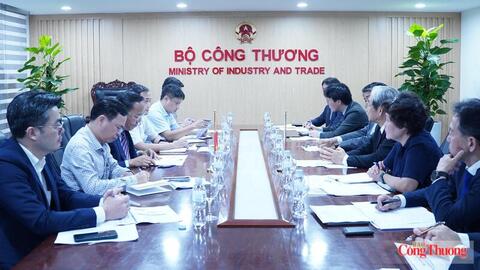 Thứ trưởng Nguyễn Hoàng Long làm việc với doanh nghiệp Nhật Bản về LNG