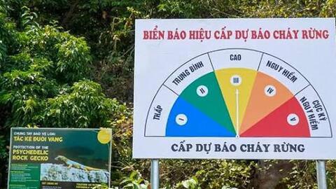 Quy định xử phạt vi phạm hành chính đối với hành vi phá hủy các công trình bảo vệ và phát triển rừng
