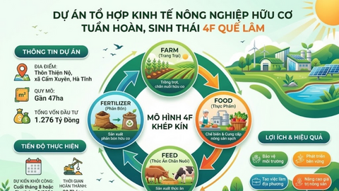 Hà Tĩnh: Sắp khởi công dự án 4F Quế Lâm vốn đầu tư gần 1.300 tỷ đồng