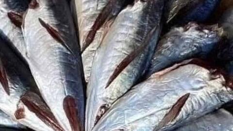 Mách bà nội trợ mẹo chọn loại cá bổ sung omega-3 hiệu quả