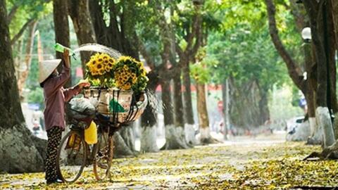Thời tiết hôm nay (21-9): Miền Bắc ngày nắng, miền Trung và miền Nam có mưa, cục bộ có nơi mưa rất to
