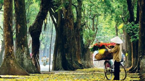 Thời tiết hôm nay (13-10): Bắc Bộ ngày nắng, miền Trung và Nam Bộ có mưa dông
