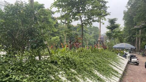 Sắc thái độc đáo của vườn hoa Vạn Xuân (Ba Đình)