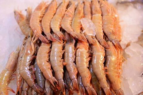 <a href="/the-gioi" title="Thế giới" rel="dofollow">Thế giới</a>