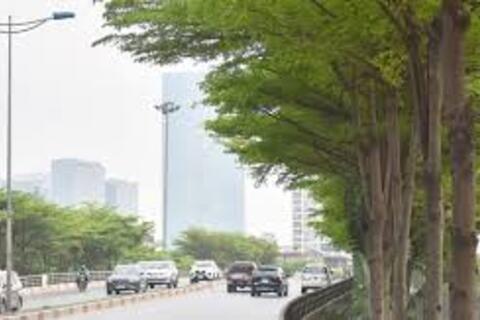<a href="/trai-dat-xanh" title="Trái đất xanh" rel="dofollow">Trái đất xanh</a>