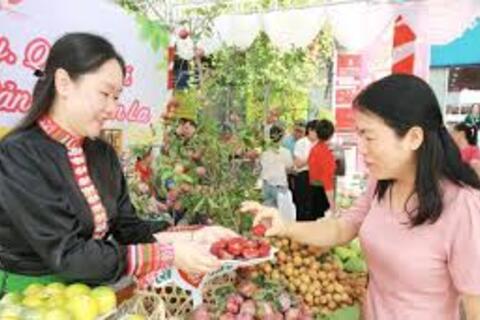 <a href="/mang-xa-hoi" title="Mạng - Xã hội" rel="dofollow">Mạng - Xã hội</a>