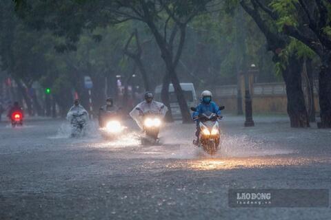 <a href="/trai-dat-xanh" title="Trái đất xanh" rel="dofollow">Trái đất xanh</a>