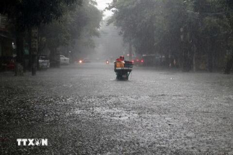 <a href="/trai-dat-xanh" title="Trái đất xanh" rel="dofollow">Trái đất xanh</a>