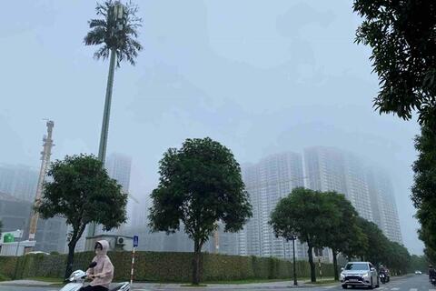 <a href="/trai-dat-xanh" title="Trái đất xanh" rel="dofollow">Trái đất xanh</a>