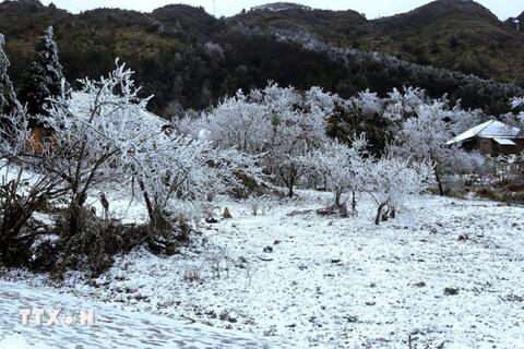 <a href="/trai-dat-xanh" title="Trái đất xanh" rel="dofollow">Trái đất xanh</a>