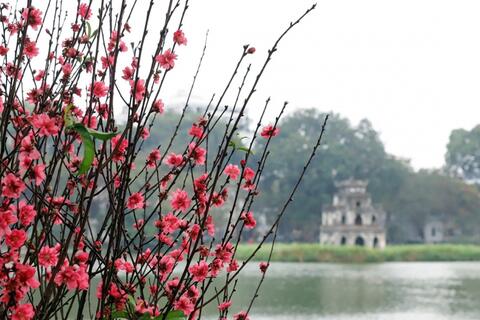 <a href="/trai-dat-xanh" title="Trái đất xanh" rel="dofollow">Trái đất xanh</a>