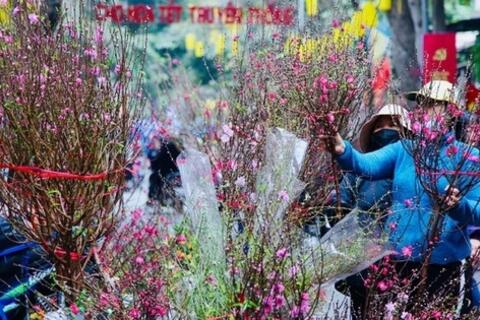 <a href="/trai-dat-xanh" title="Trái đất xanh" rel="dofollow">Trái đất xanh</a>