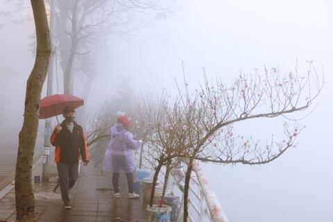 <a href="/trai-dat-xanh" title="Trái đất xanh" rel="dofollow">Trái đất xanh</a>