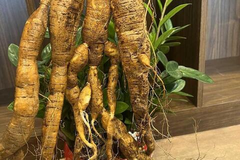 <a href="/mang-xa-hoi" title="Mạng - Xã hội" rel="dofollow">Mạng - Xã hội</a>