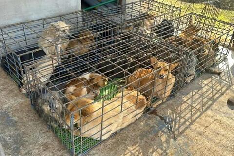 <a href="/mang-xa-hoi" title="Mạng - Xã hội" rel="dofollow">Mạng - Xã hội</a>