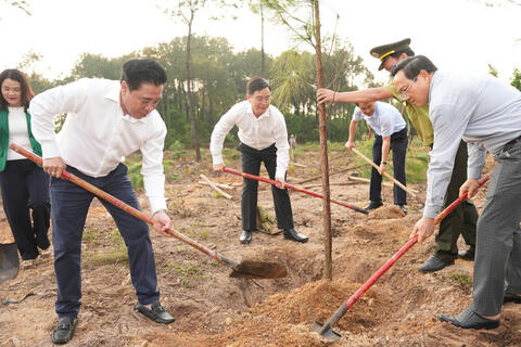 Thành phố Huế: Phát động Tết trồng cây đời đời nhớ ơn Bác Hồ