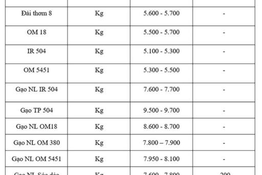 Giá lúa gạo hôm nay ngày 7/11: Gạo xuất khẩu biến động, lúa chững giá