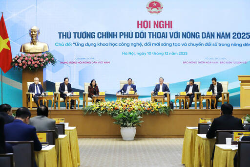 Mở rộng thị trường, xây dựng thương hiệu: Chìa khóa nâng tầm gạo Việt